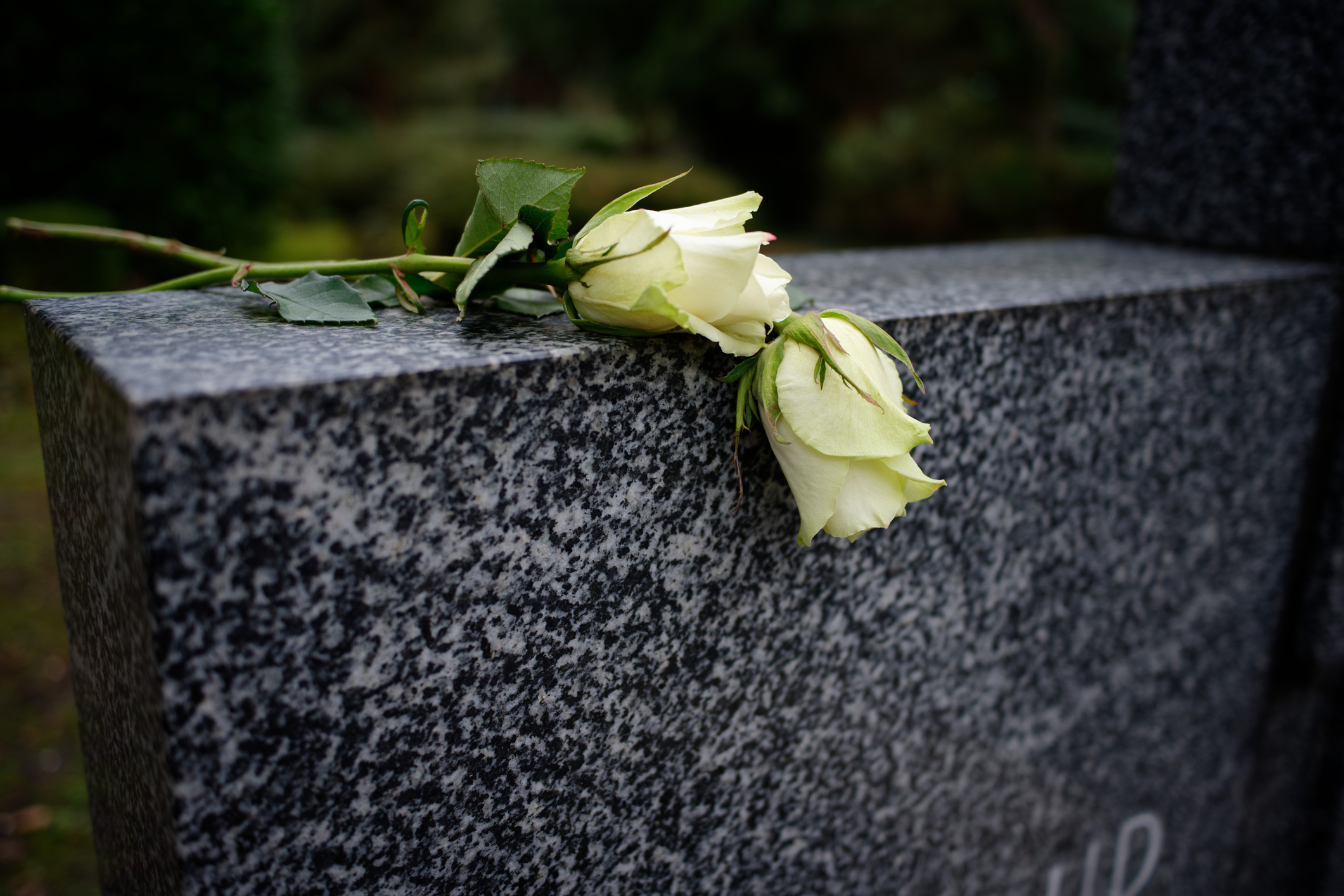 Teen Killed